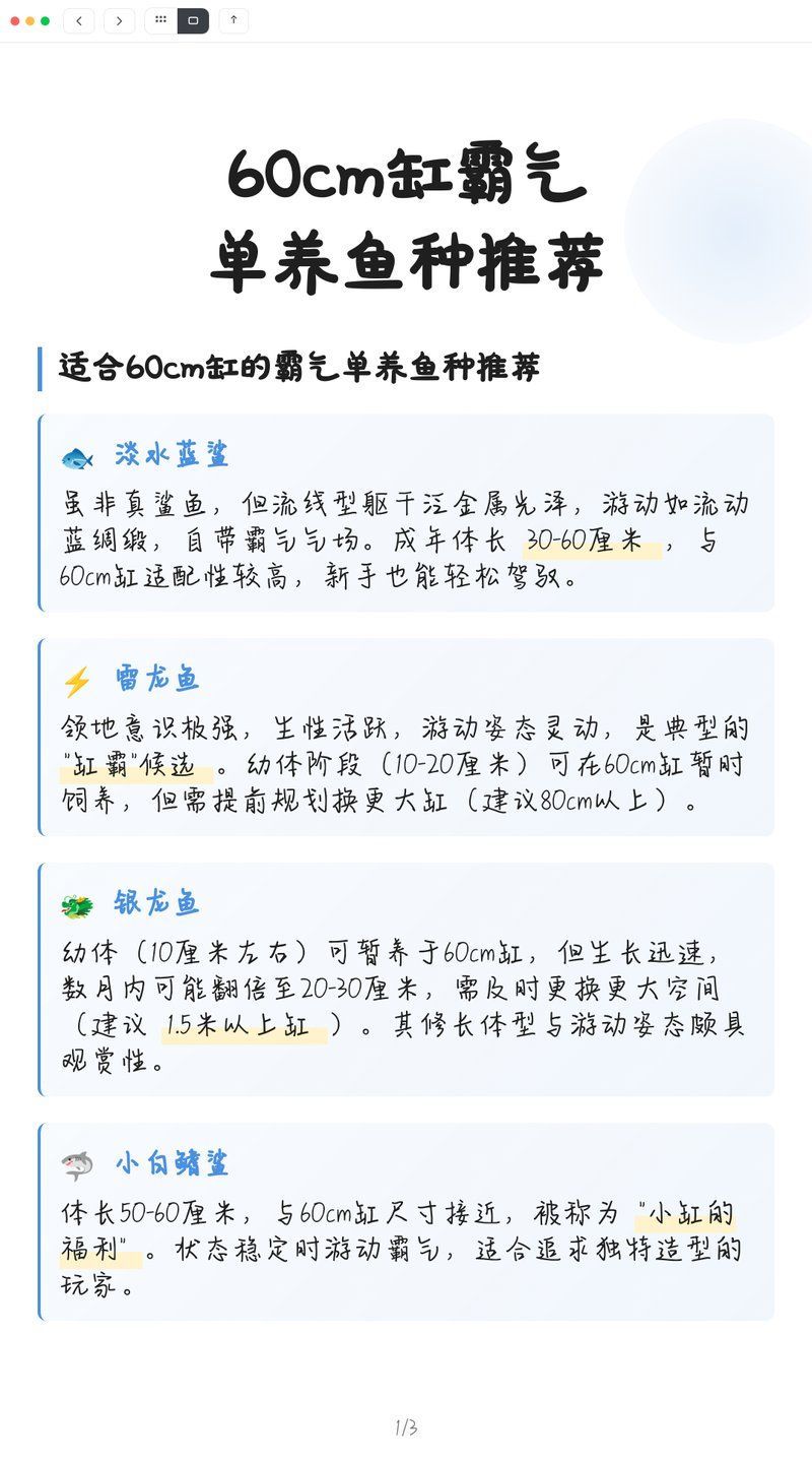 60缸十大最建議買的魚有哪些特點，60缸十大最建議買的魚種