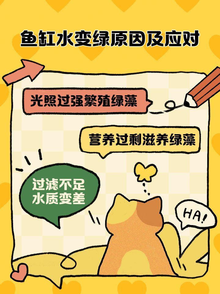 魚缸水發綠是種水草的原因嗎？，如何判斷魚缸水是否發綠？
