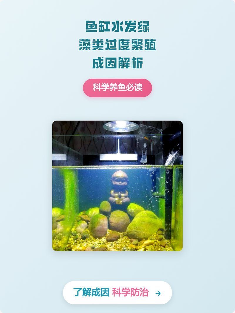 魚缸水發綠是種水草的原因嗎？，如何判斷魚缸水是否發綠？