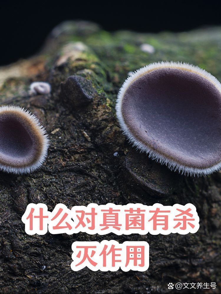 有哪些天然方法可以殺死真菌