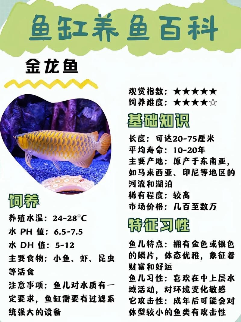 龍魚在珠海的養(yǎng)殖情況，珠海龍魚養(yǎng)殖規(guī)劃