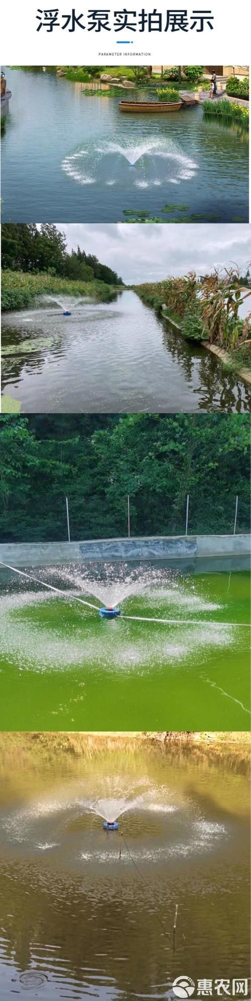 如何預防魚得水霉病，如何科學預防魚類水霉病