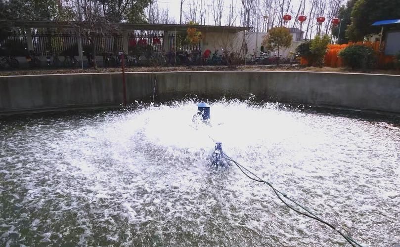 如何預防魚得水霉病，如何科學預防魚類水霉病