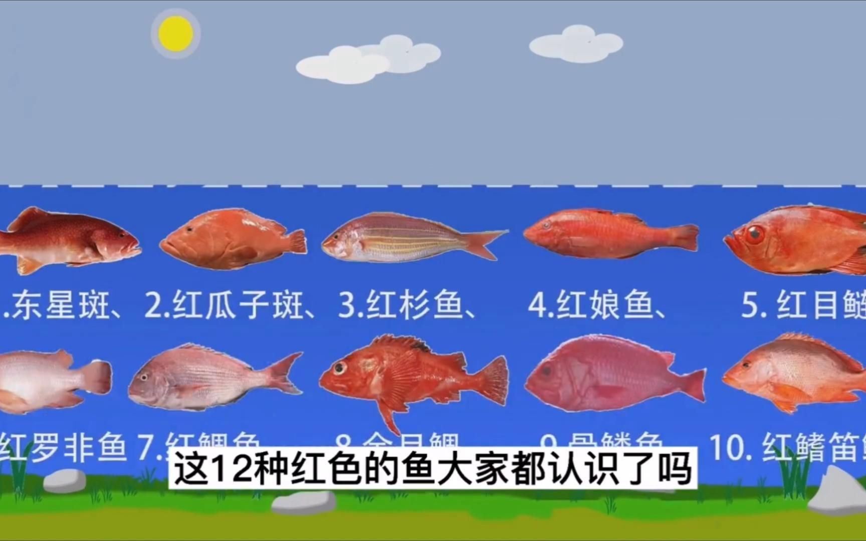 紅色魚有哪些種類，紅色魚有哪些種類紅色魚有哪些營(yíng)養(yǎng)價(jià)值是多少