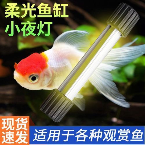 龍魚小夜燈開燈后多久關(guān)燈，龍魚小夜燈開燈后多久關(guān)燈，龍魚小夜燈應(yīng)該多久關(guān)燈
