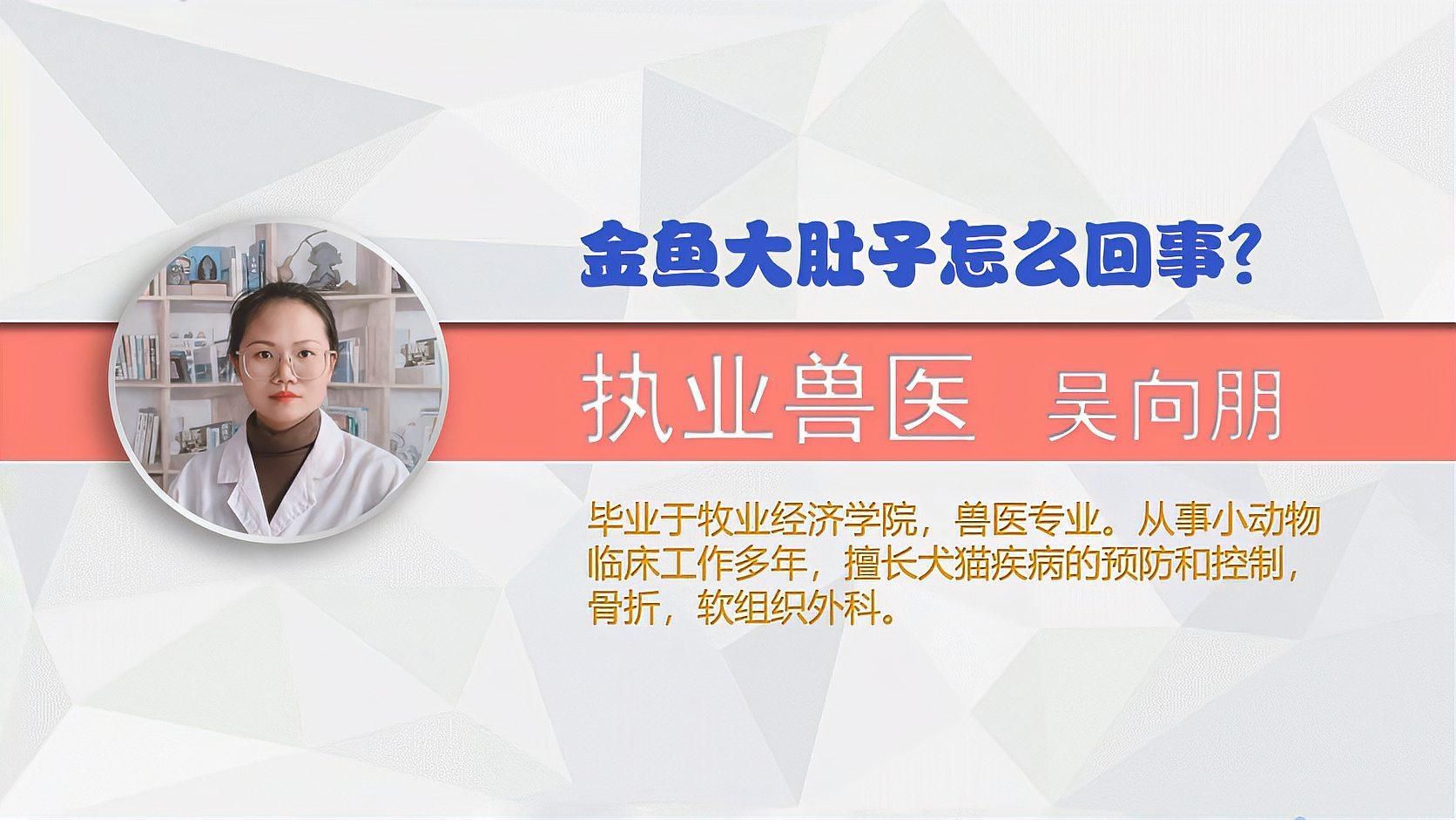 金魚肚子大怎么辦，金魚肚子大怎么辦，
