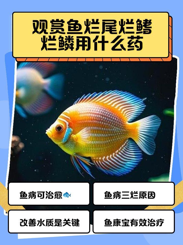 如何預防龍魚的爛鱗病和腸炎？，如何預防龍魚爛鱗病