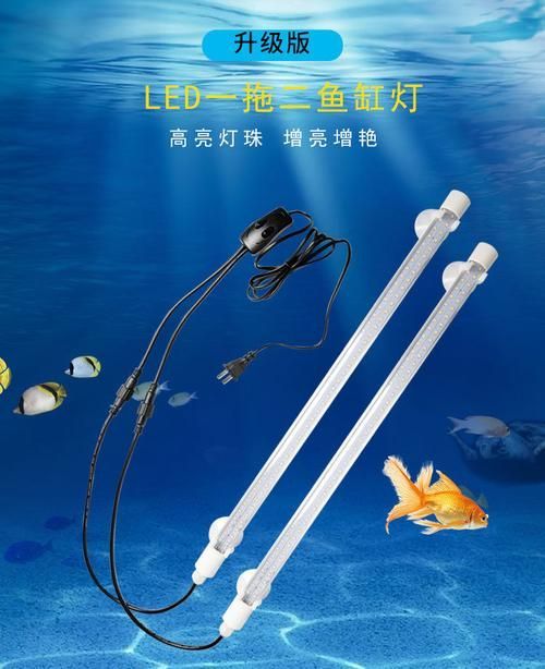 推薦幾款性價比高的龍魚飼養設備，性價比高的龍魚飼養設備