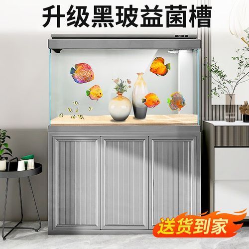 推薦幾款性價比高的龍魚飼養設備，性價比高的龍魚飼養設備