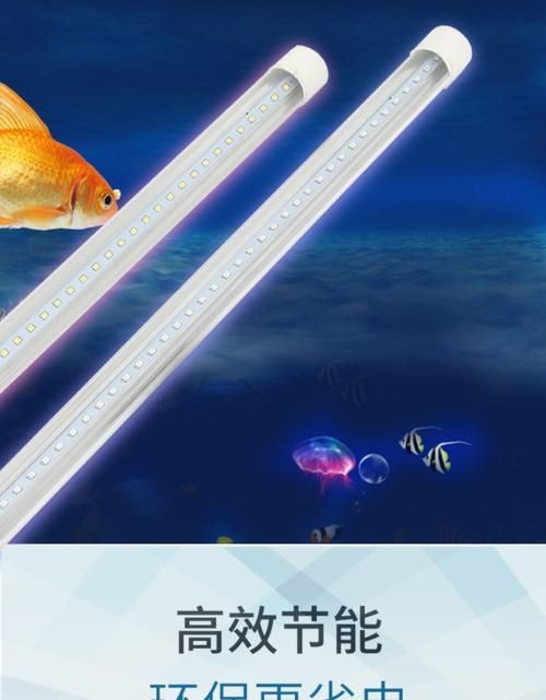 推薦幾款性價比高的龍魚飼養設備，性價比高的龍魚飼養設備