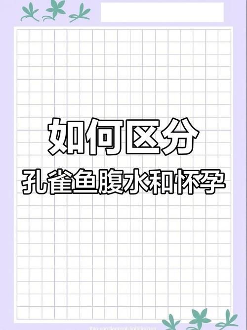 魚(yú)懷孕和腹水圖區(qū)別圖，如何判斷魚(yú)懷孕和腹水？