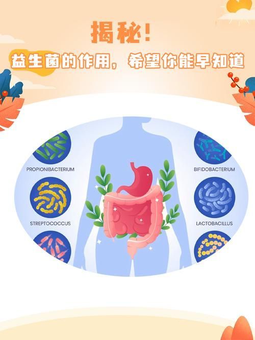 益生菌在腸炎預防中的作用，抗生菌在腸炎預防中的作用機制與臨床應用