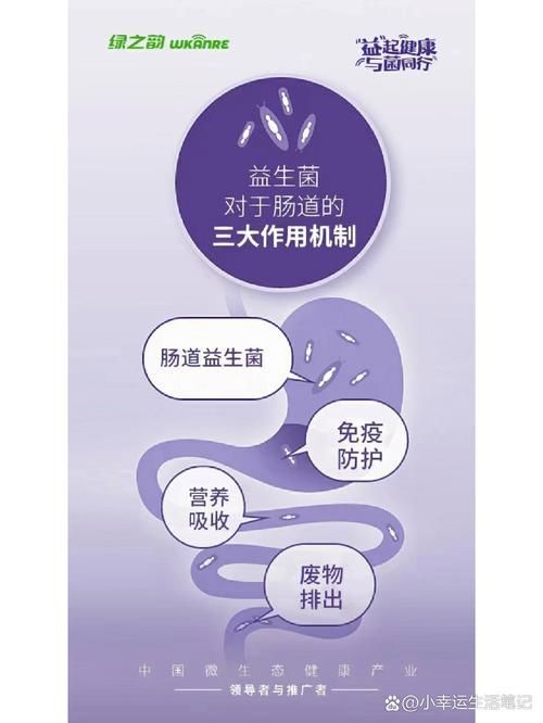 益生菌在腸炎預防中的作用，抗生菌在腸炎預防中的作用機制與臨床應用