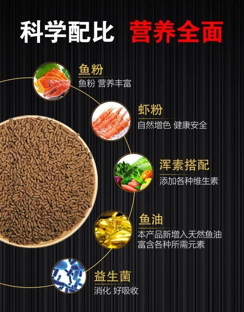 如何判斷紅龍魚飼料是否新鮮