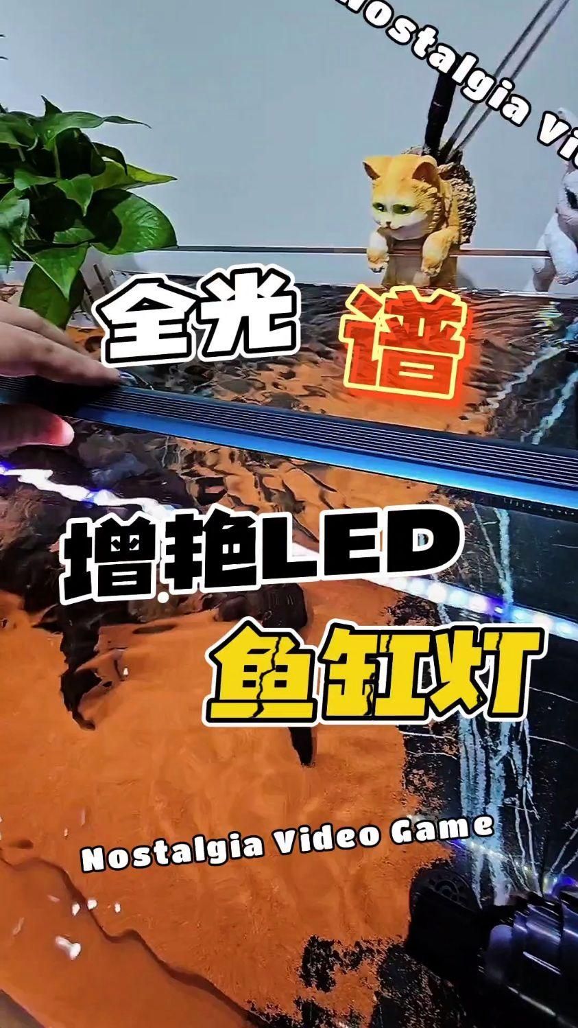 祥龍魚場推薦哪些性價比高的燈具，祥龍魚場推薦哪些性價比高的燈具祥龍魚場推薦