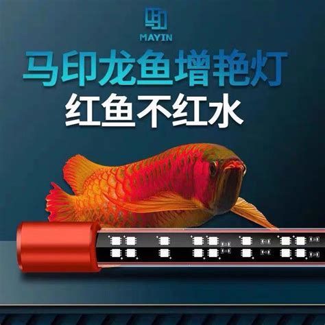 龍魚缸中適合放什么顏色的裝飾物？，龍魚缸中適合放什么顏色的裝飾物