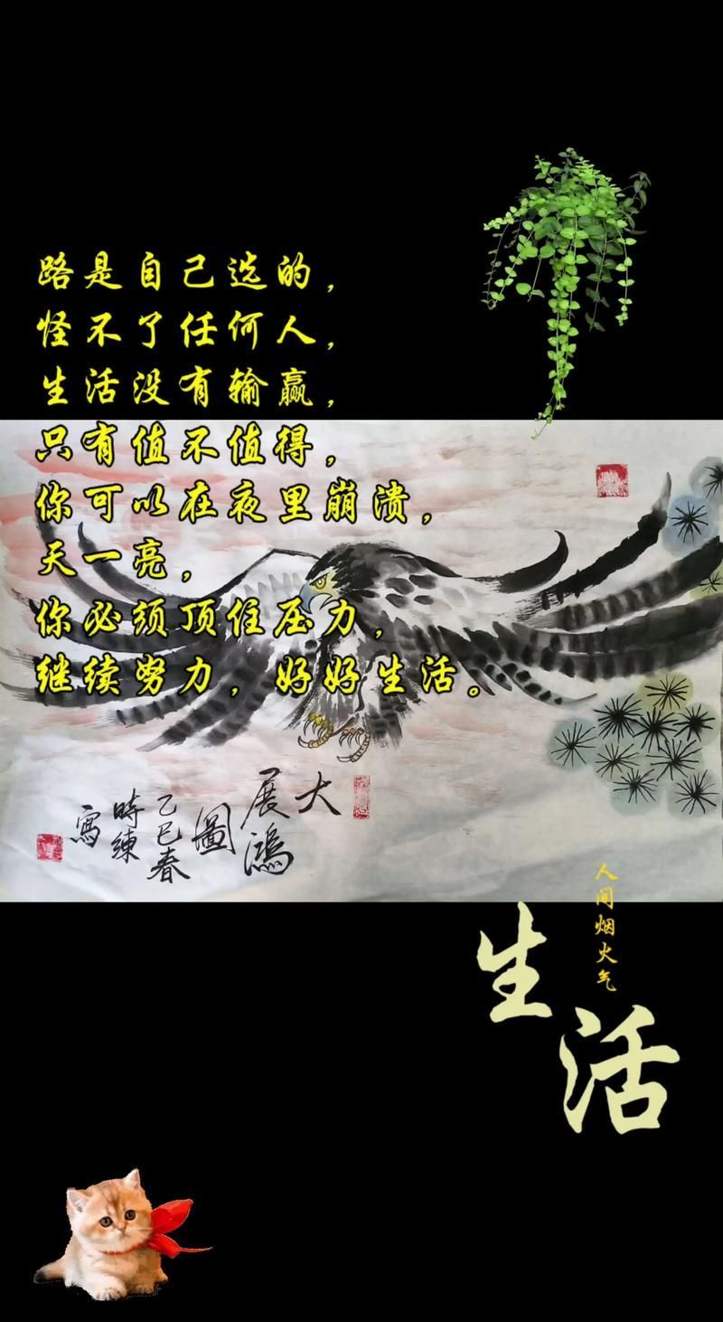 能詳細解釋一下《大展鴻圖》的歌詞嗎，《大展鴻圖》是一首充滿激情和斗志的歌曲