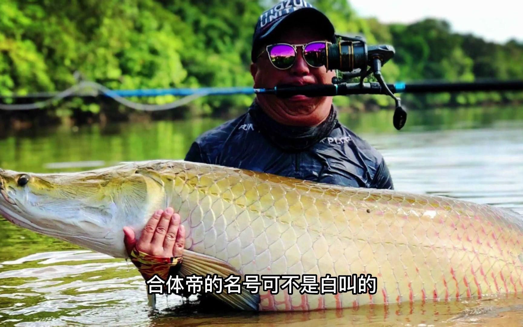 哪些魚不適合放在魚缸中，哪些魚不適合放在魚缸中，不適合養(yǎng)在魚缸中的觀賞魚