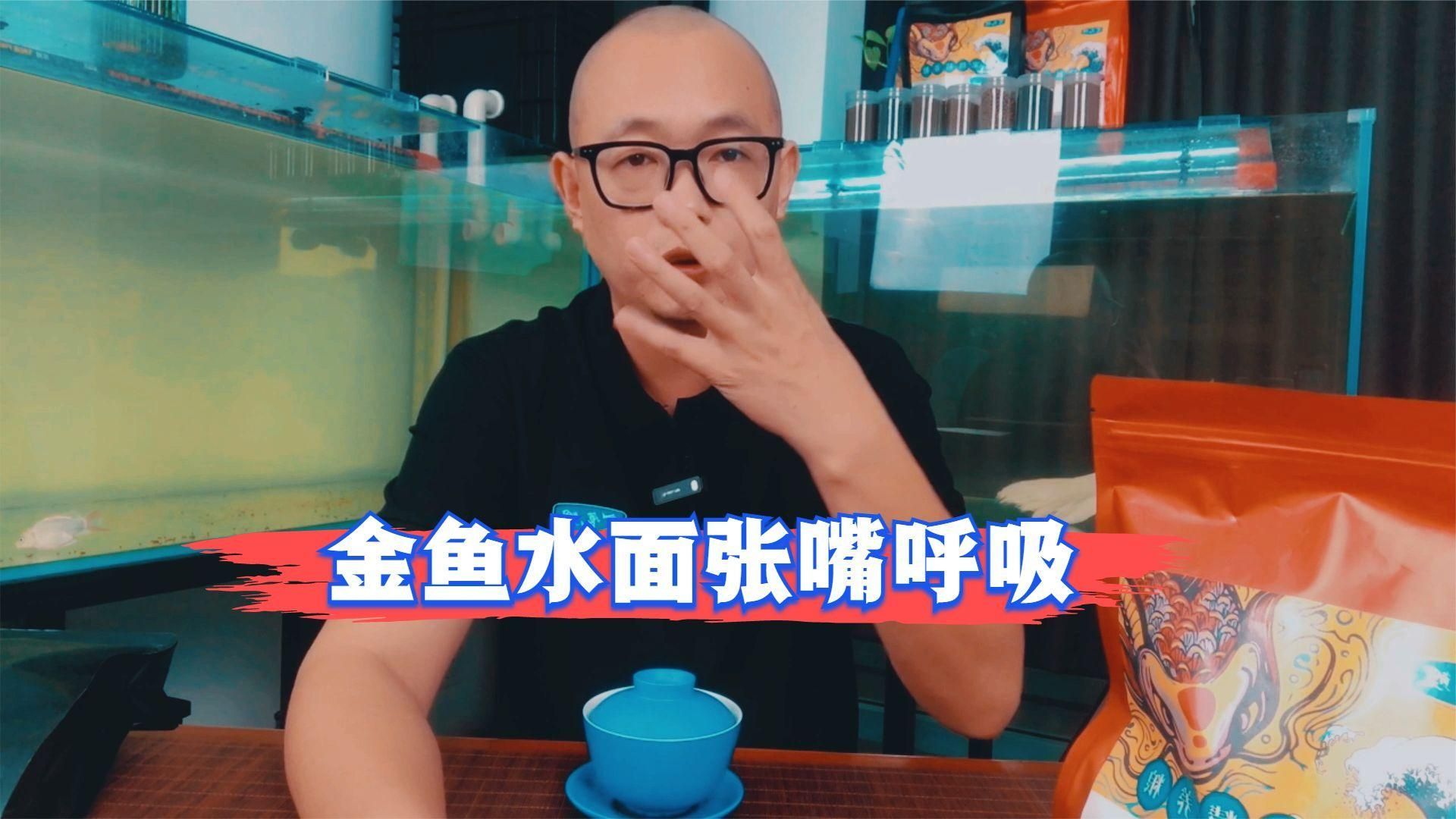 魚(yú)呼吸急促時(shí)如何急救，———魚(yú)呼吸急促時(shí)如何急救