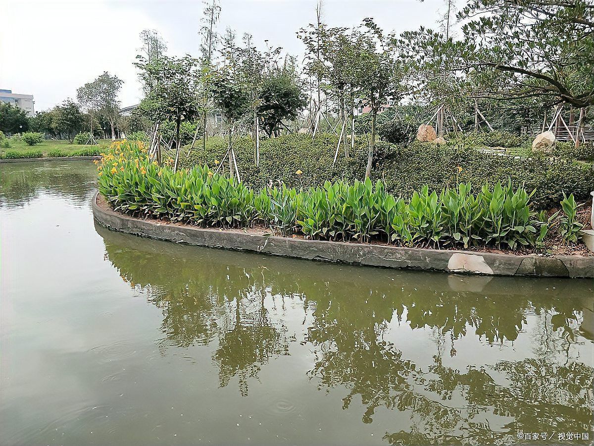 哪些藥物對(duì)特定魚(yú)種不安全，哪些藥物對(duì)特定魚(yú)種不安全的藥物不安全