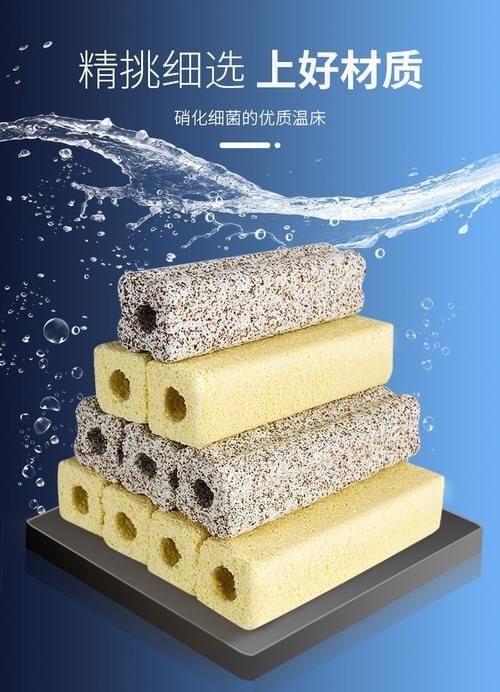 哪個品牌的細菌屋使用壽命最長，哪個品牌的細菌屋使用壽命最長森森和石英細菌屋哪個更耐用