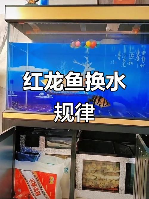龍魚浮頭顏色如何保養，如何判斷龍魚浮頭顏色是否浮頭
