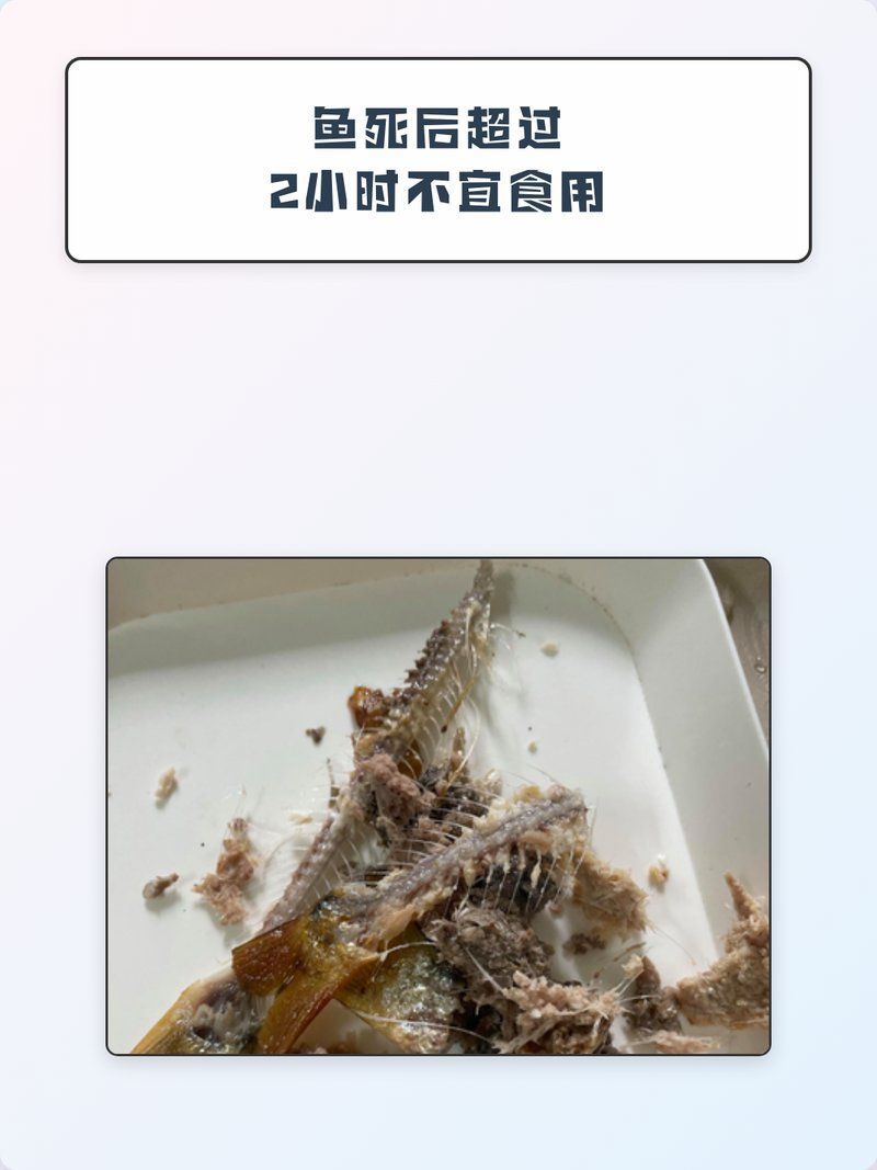 龍魚死后可以食用嗎，龍魚死后可以食用嗎,