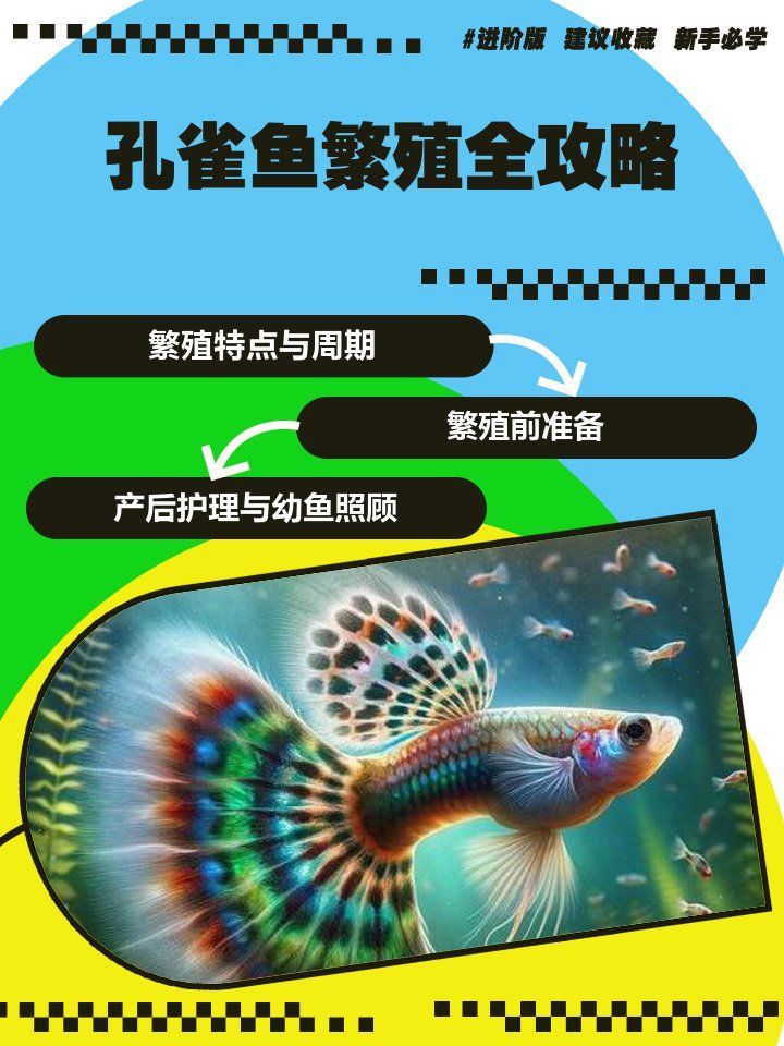 孔雀魚繁殖時需要哪些條件，孔雀魚繁殖全攻略