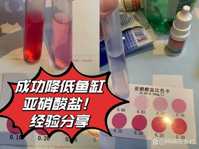 火龍魚中毒后有哪些治療方法，關于火龍魚中毒的一些建議