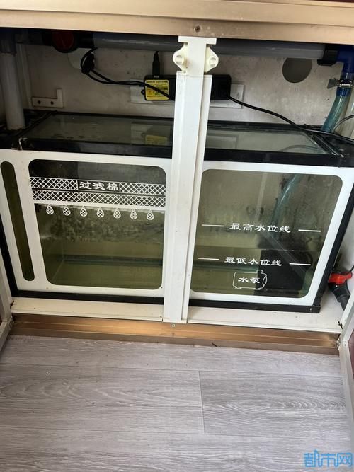 給我推薦幾款性價比高的龍魚缸設備，性價比高的龍魚缸設備推薦
