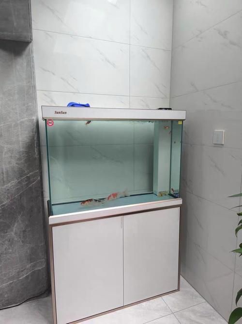 給我推薦幾款性價比高的龍魚缸設備，性價比高的龍魚缸設備推薦