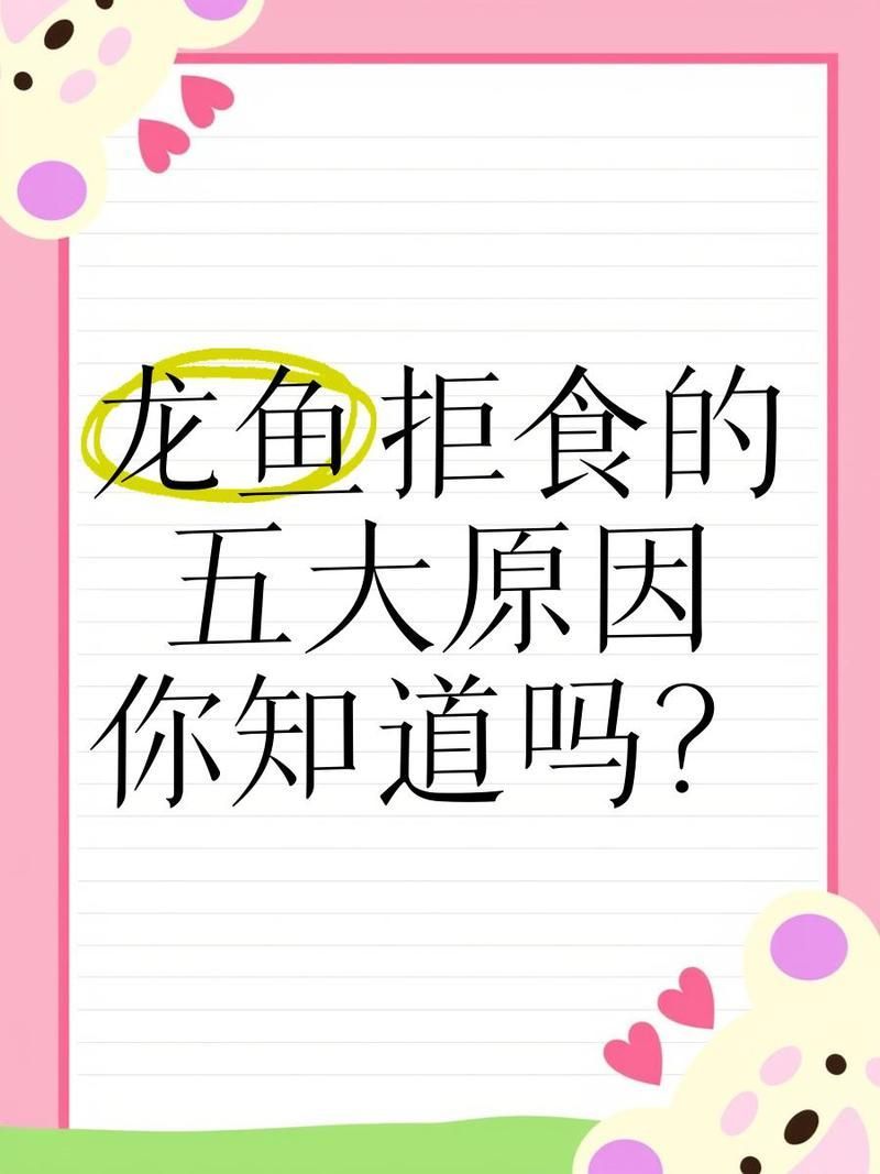 龍魚突然不吃食如何急救？，龍魚突然不吃食可能是由多種原因引起的