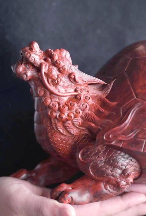 給我一張真正的龍龜圖片，云貴中國龍龜的化石發現地，給我一張真正的龍龜化石圖片