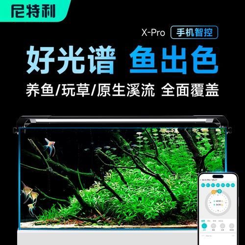 有哪些品牌的魚缸燈光推薦，魚缸燈光的選擇對于提升觀賞效果和生態環境至關重要
