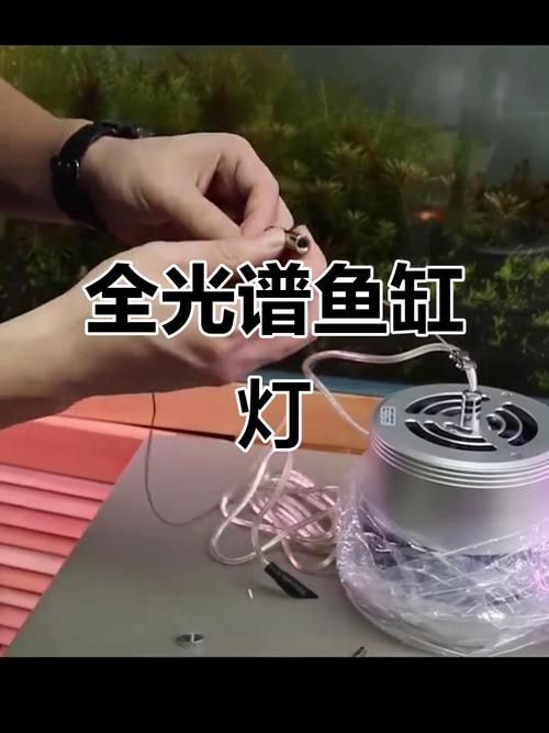 有哪些品牌的魚缸燈光推薦，魚缸燈光的選擇對于提升觀賞效果和生態環境至關重要