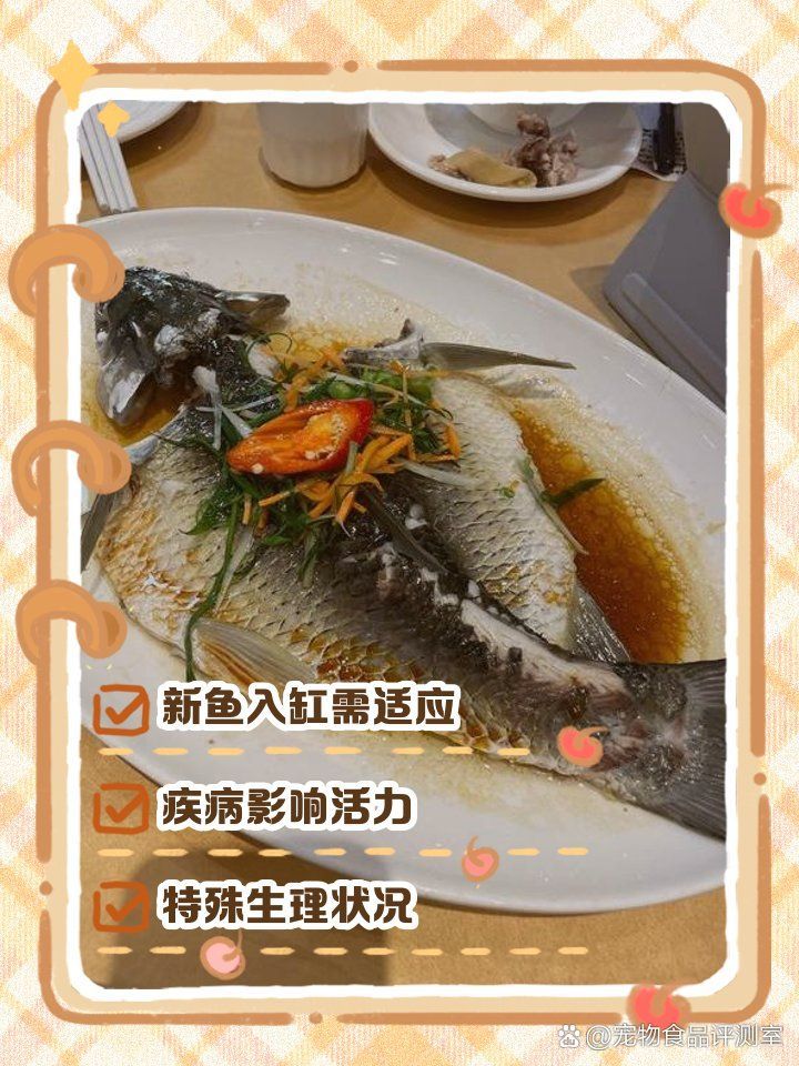 魚突然不活躍,躲在角落，魚突然不活躍、躲在角落，魚突然不活躍、躲在角落、躲在角落
