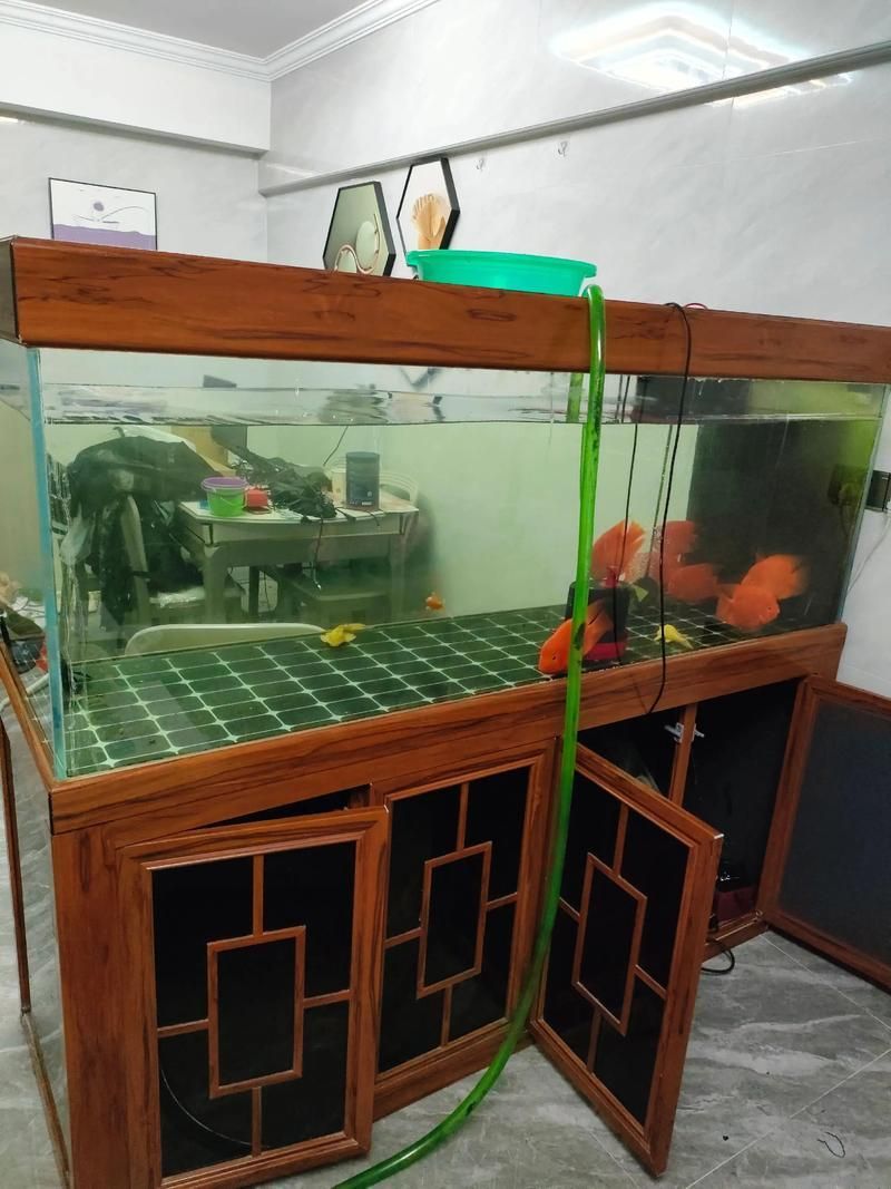可麗愛魚缸的質量如何