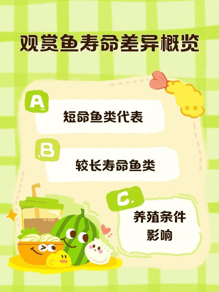 龍魚和銀板魚的壽命差異大嗎？，龍魚和銀板魚的壽命差異大嗎龍魚和銀板魚的壽命差異大嗎