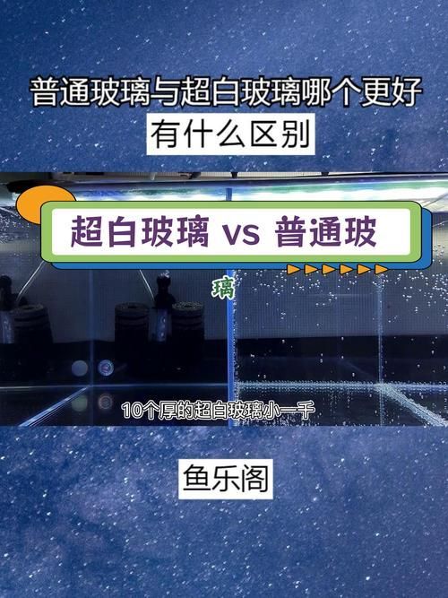 如何判斷龍魚魚缸的材質好壞？，判斷龍魚魚缸材質好壞的幾個關鍵指標，新手養魚必看