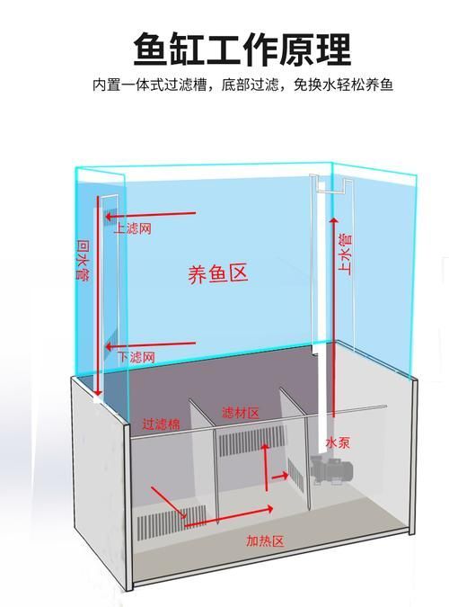 養七條魚時需要注意哪些事項，養七條魚時需要注意哪些事項,用戶要求詳解養七條魚時需要注意的事項