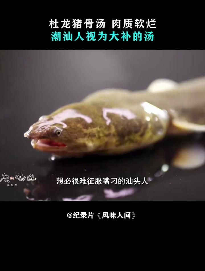 杜龍魚有哪些烹飪方法？，杜龍魚的烹飪方式