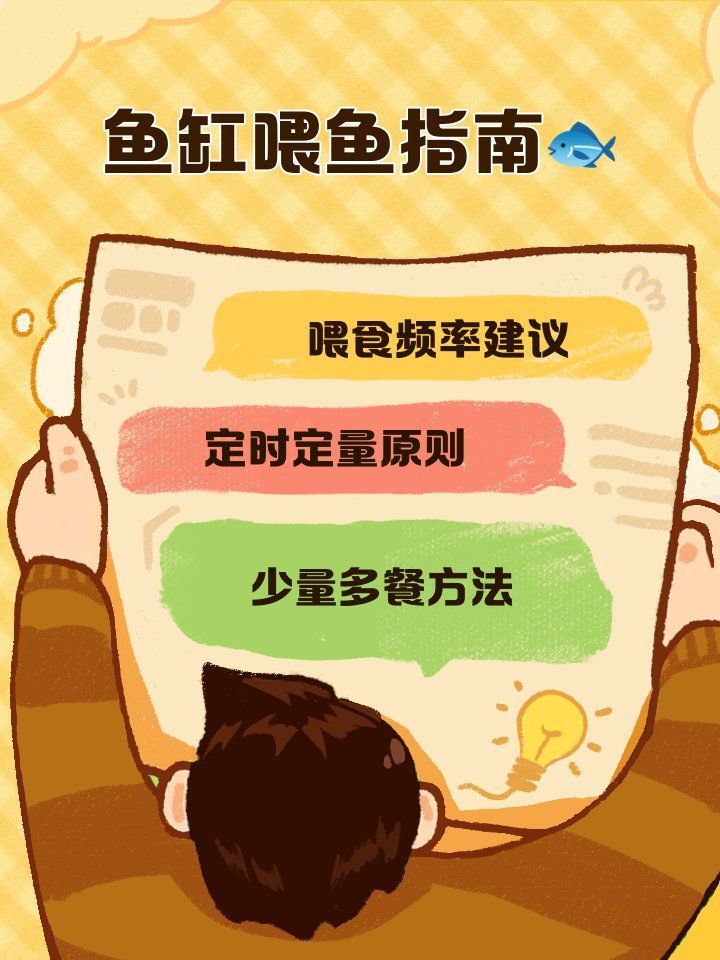 如何逐步過渡到活魚投喂，養(yǎng)魚老道，金魚科學(xué)投喂指南，需要注意哪些事項