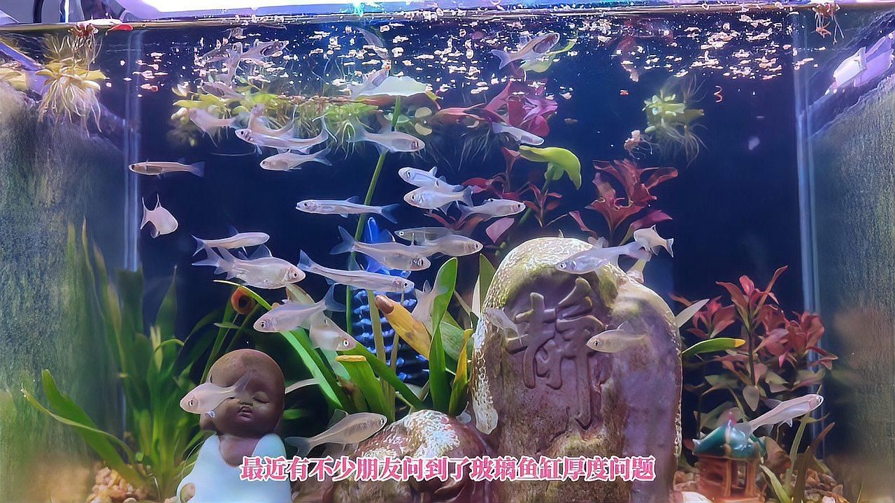 如何判斷魚缸玻璃的厚度，如何判斷魚缸玻璃厚度,魚缸玻璃厚度的選擇直接關系到使用安全