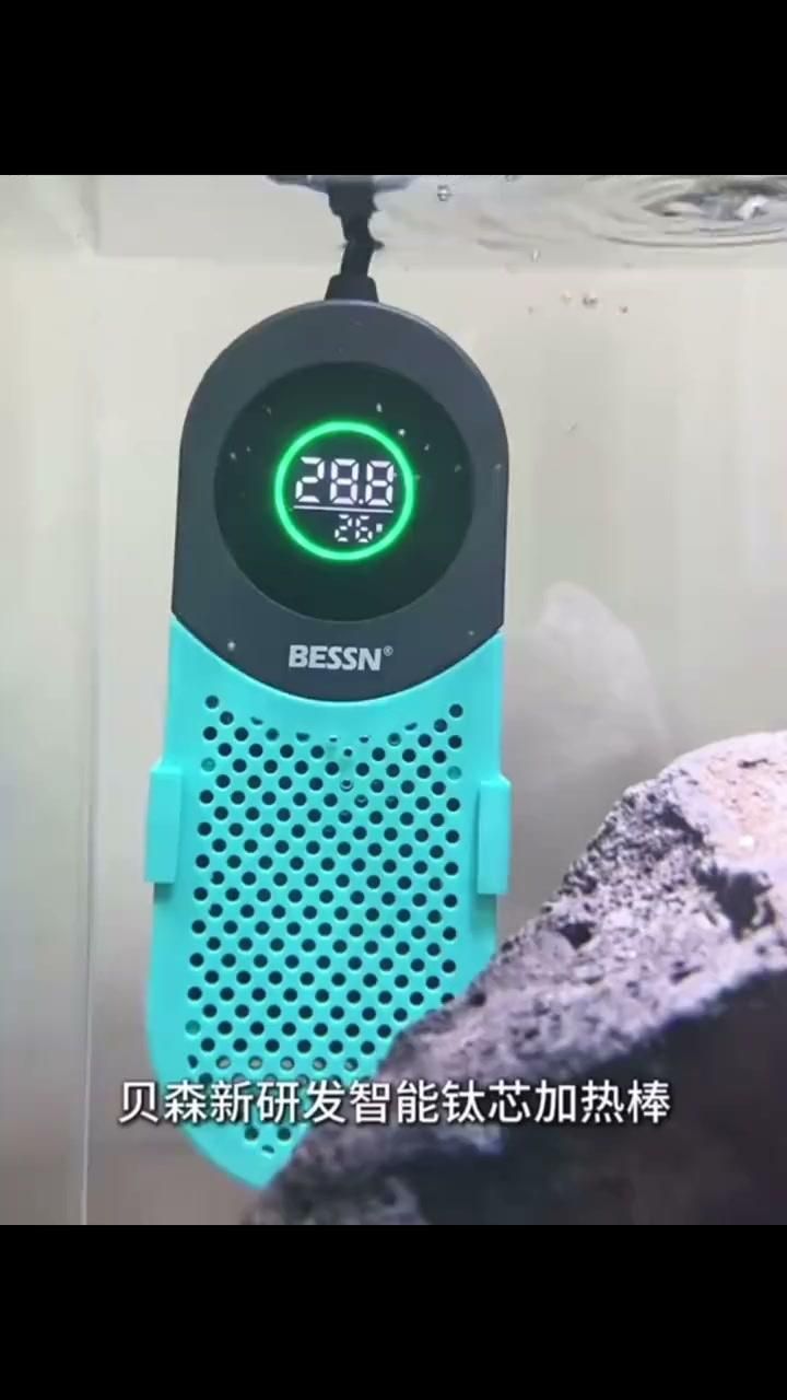 龍魚飼養需要準備哪些設備