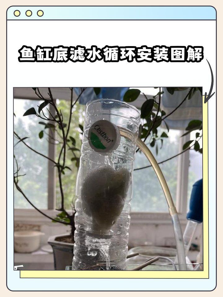 底濾系統如何安裝？，工業風周轉箱底濾安裝教程嗶哩嗶哩嗶哩嗶哩嗶哩