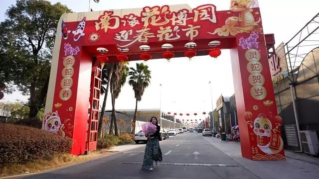南海花卉博覽園龍魚(yú)購(gòu)買(mǎi)指南，南海花卉博覽園龍魚(yú)購(gòu)買(mǎi)指南南海花卉博覽園購(gòu)買(mǎi)指南