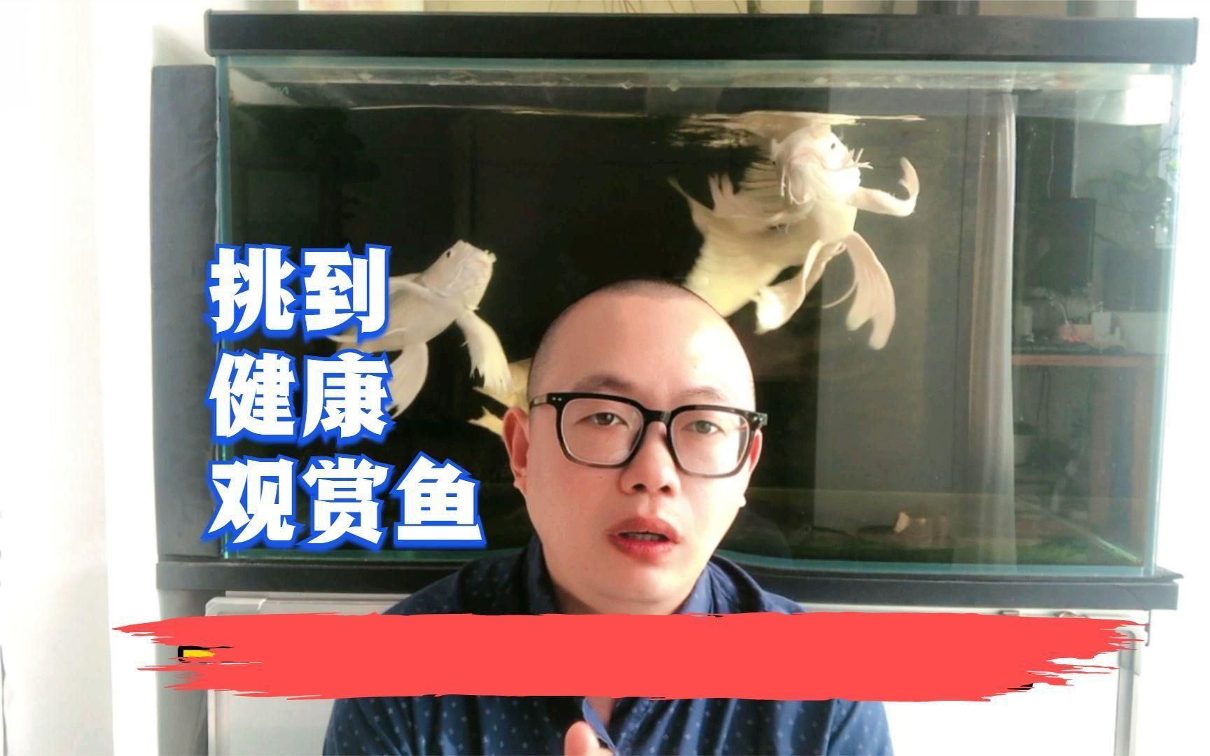 如何判斷魚是否恢復(fù)健康，如何判斷魚是否恢復(fù)健康需要多久才能完全恢復(fù)健康