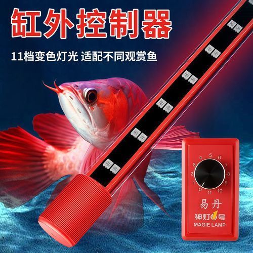 紅龍專用照明設備推薦，紅龍專用照明設備推薦摘要