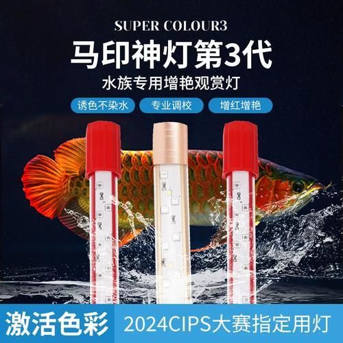 紅龍專用照明設備推薦，紅龍專用照明設備推薦摘要