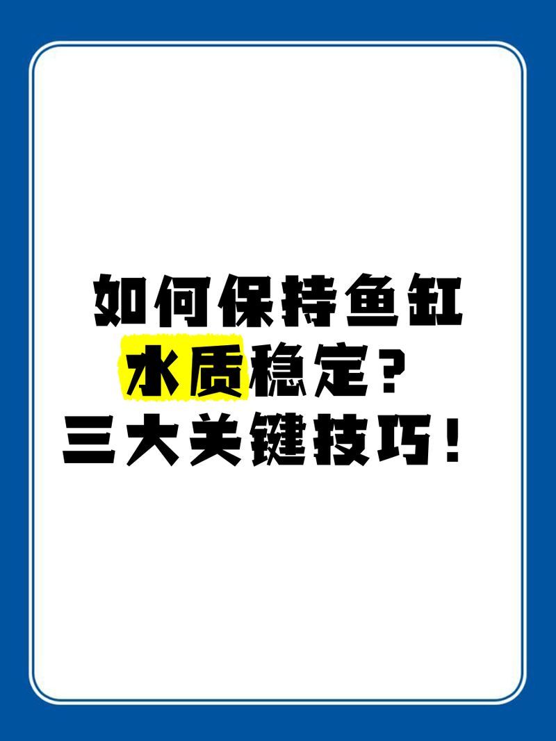 如何改善龍魚(yú)缸的水質(zhì)狀況？，如何改善龍魚(yú)缸水質(zhì)